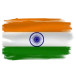 Polo T Shirt with Indian Flag