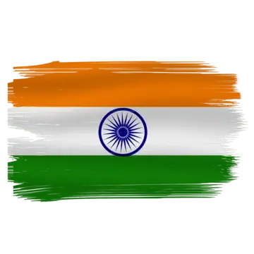 Polo T Shirt with Indian Flag